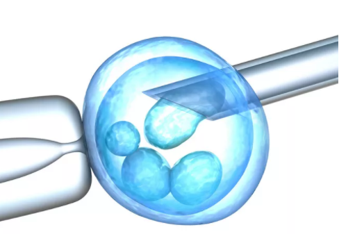 人工授精成功率是多少 降低人工授精成功率的原因