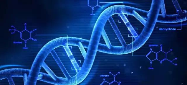 无创DNA几周做最好 无创DNA检查时间 无创DNA几周做最好 无创DNA检查时间