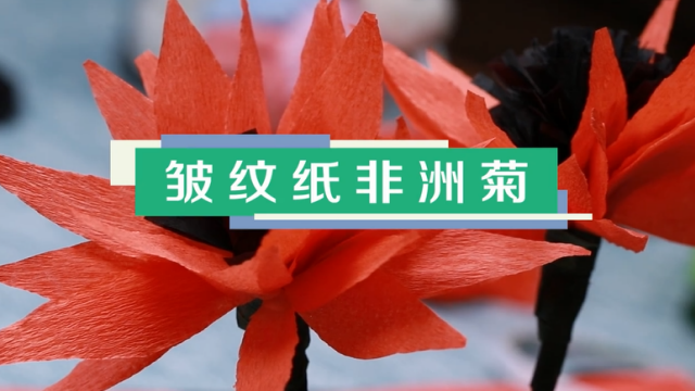 皱纹纸非洲菊视频教程 皱纹纸非洲菊制作图解